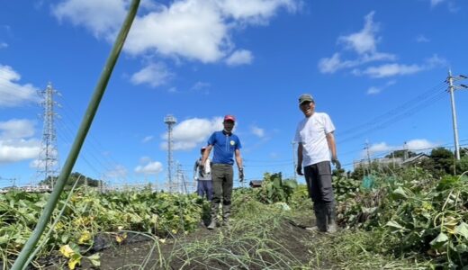 2022年9月4日（日）畑作業&本部整備
