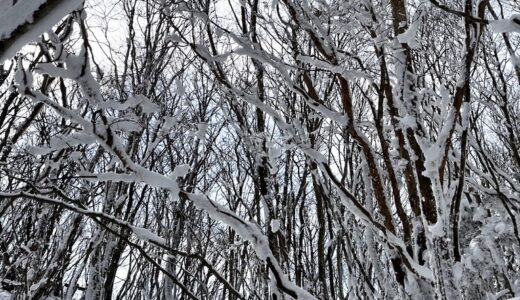 2023年1月28日（日）月の輪隊雪中登山サポート