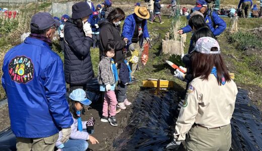 2024年3月3日（日）ジャガイモ植え付け