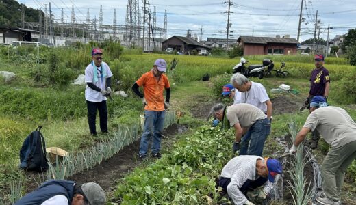 2024年9月15日（日）本部整備と畑作業
